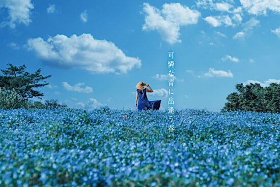 昭和記念公園フラワーフェスティバル2024。ネモフィラ・サクラ・チューリップの共演！