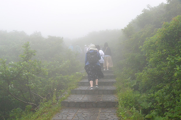 霧の御田原神社参道