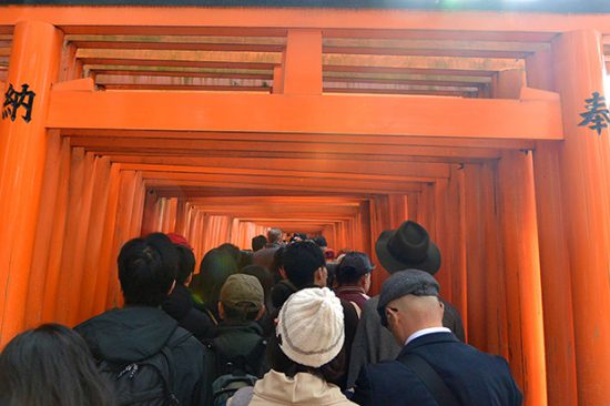 【伏見稲荷大社 風属性】見どころ５選。千本鳥居は本当に1,000本あるの？