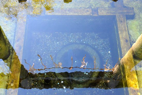 【息栖神社】見どころ５選。忍潮井は日本三霊泉の一つ［東国三社］