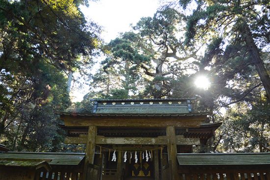 【鹿島神宮 火属性】見どころ5選。タケミカヅチと鹿島立ち［東国三社］