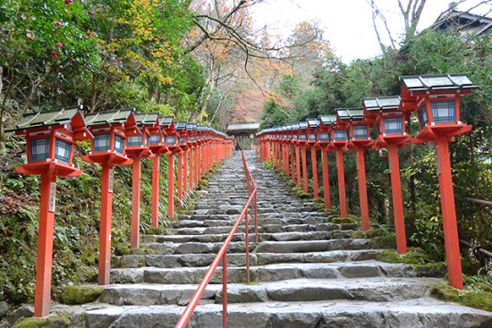 【貴船神社 水属性】見どころ５選。貴船の地名の［由来］ご神木の桂！