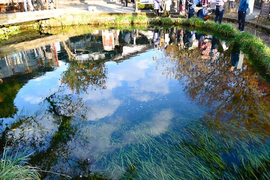 【忍野八海】湧水池に住む八大竜王とは？ 忍野八海浅間神社の御朱印は10体