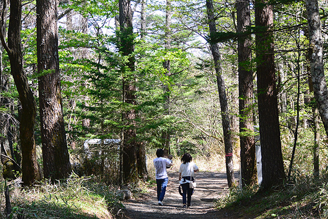 新屋 山神社の奥宮