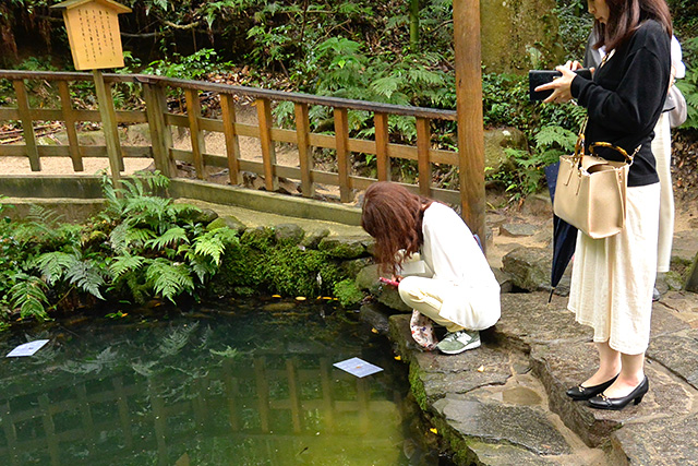 八重垣神社・鏡の池
