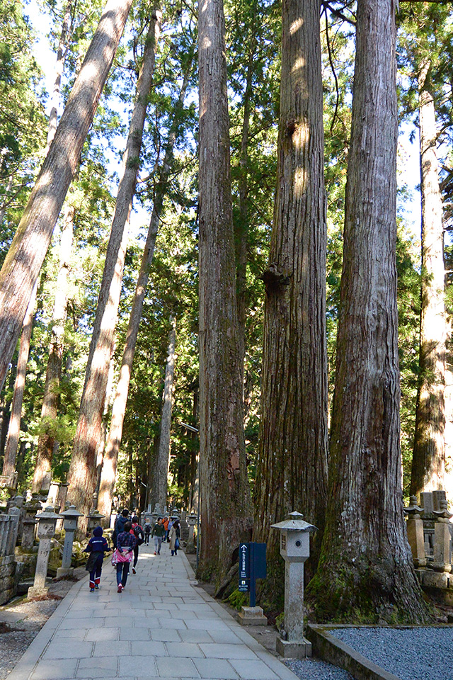 高野山・奥の院