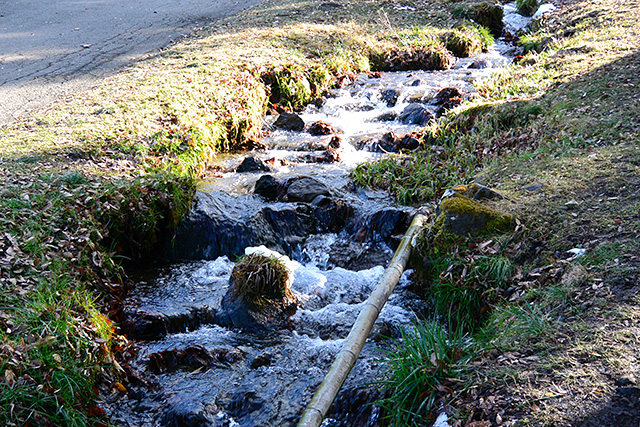 名水「水眼（すいか）」の清流
