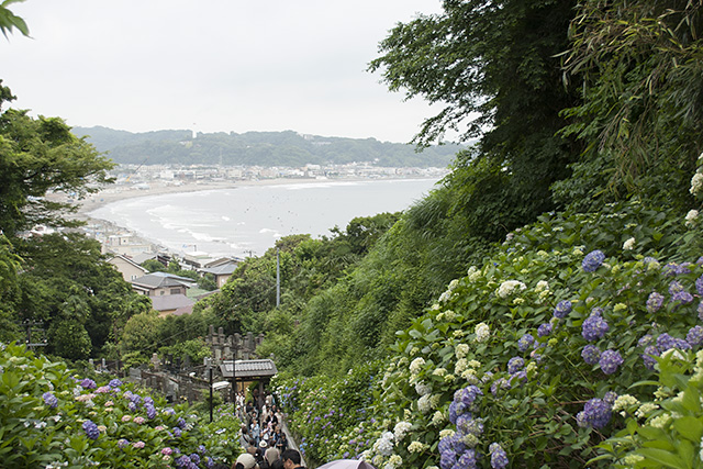 鎌倉・由比ヶ浜