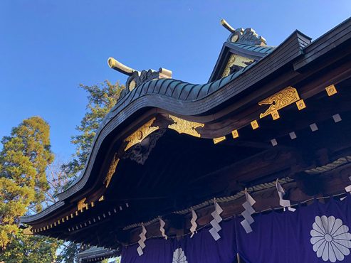 【大國魂神社】初詣、2020年1月1日。ご神木の大イチョウと人形流し
