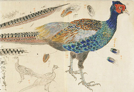 出雲の国譲り① アメノホヒとアメノワカヒコの遣い