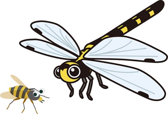 第21代雄略天皇 阿岐豆野の名の由来