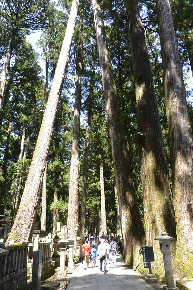 高野山・奥の院