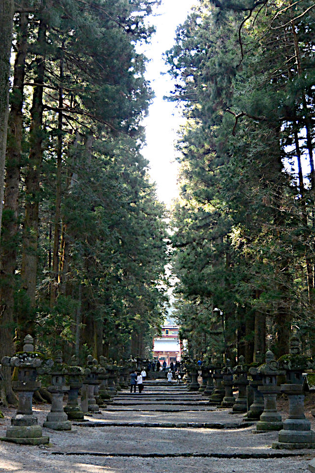 北口本宮冨士浅間神社の参道