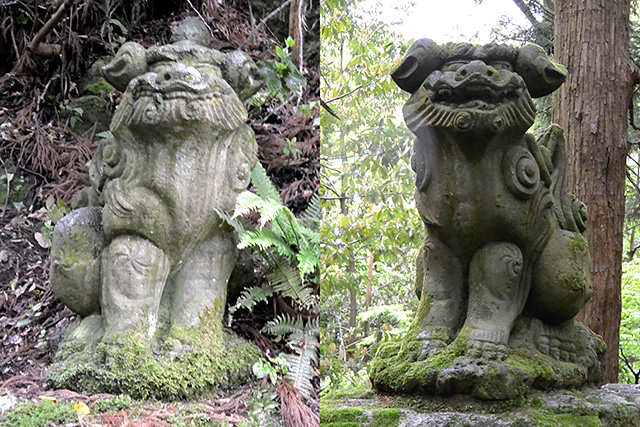 白山比咩神社・狛犬