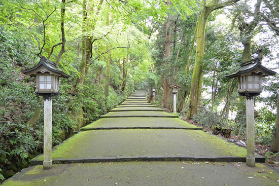 【白山比咩神社】見どころ５選。イザナギとイザナミを和解させた女神？