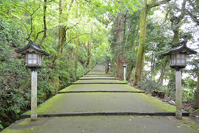 白山比咩神社・参道