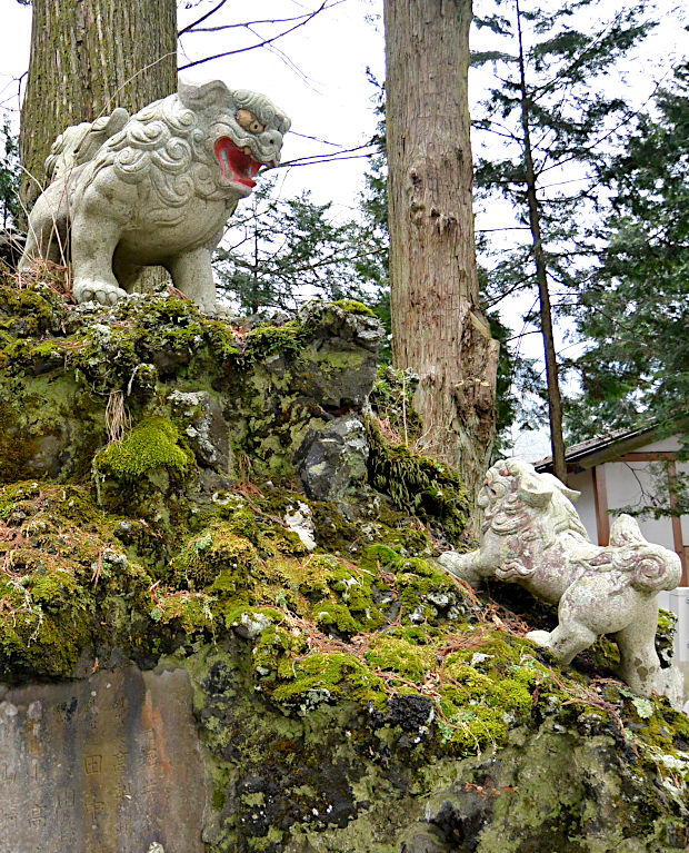 東口冨士浅間神社の狛犬は獅子