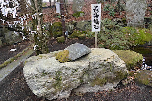 長壽亀石