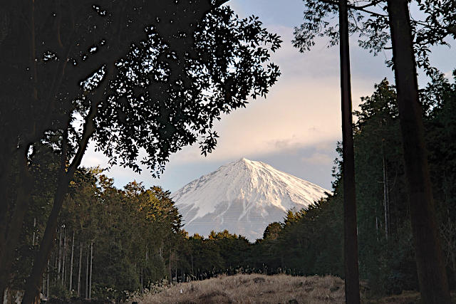山宮浅間神社から富士山を遥拝