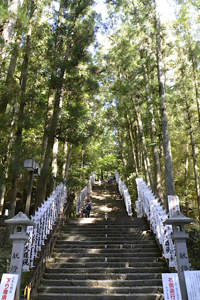 熊野本宮大社の参道