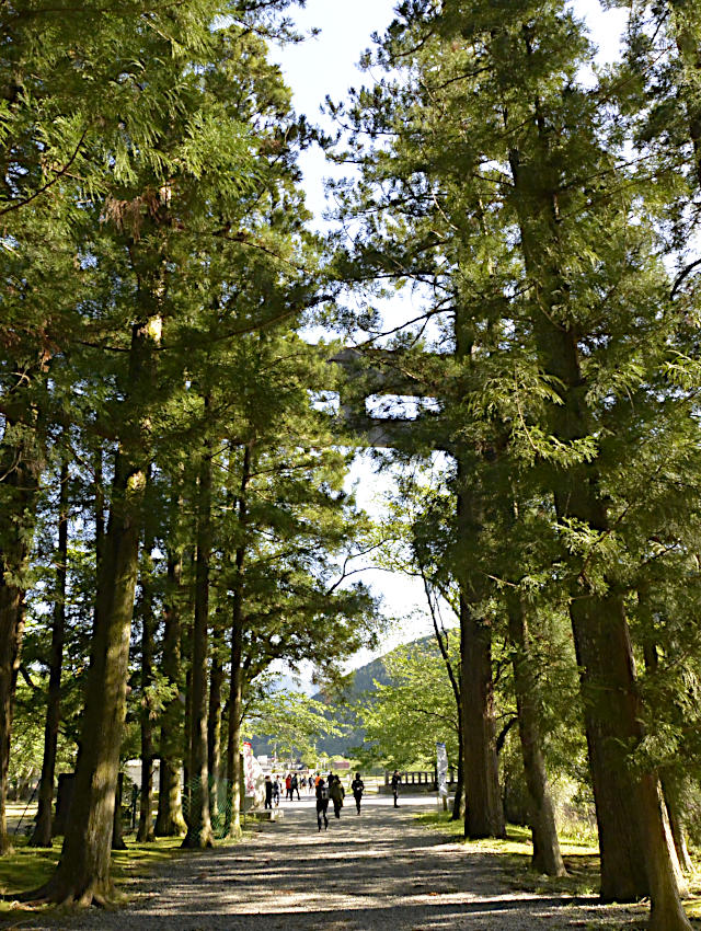 熊野本宮大社の［旧社地］大斎原