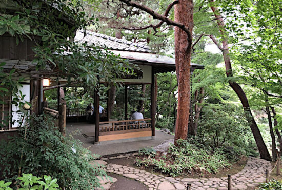 殿ヶ谷戸庭園 入園料と見どころ５選と所要時間は？アクセス方法も