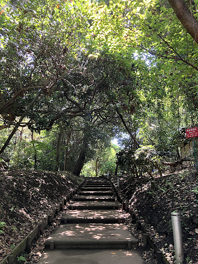 龍恋の鐘へ
